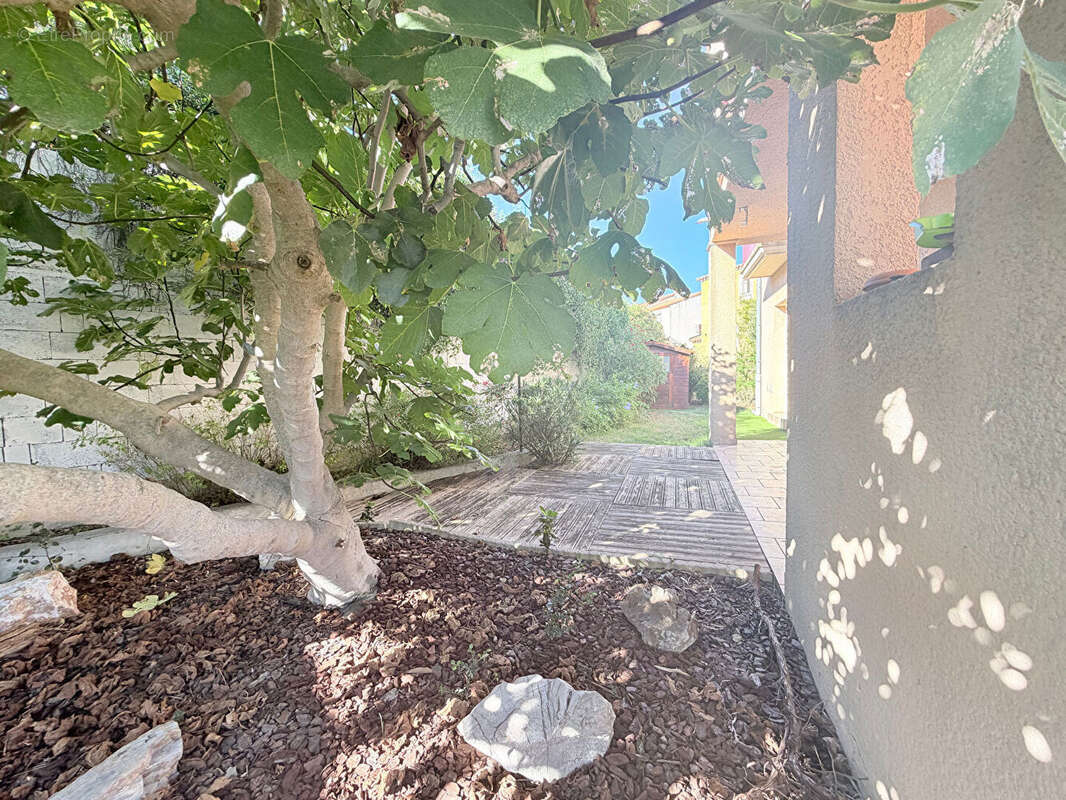 Appartement à BOUZIGUES