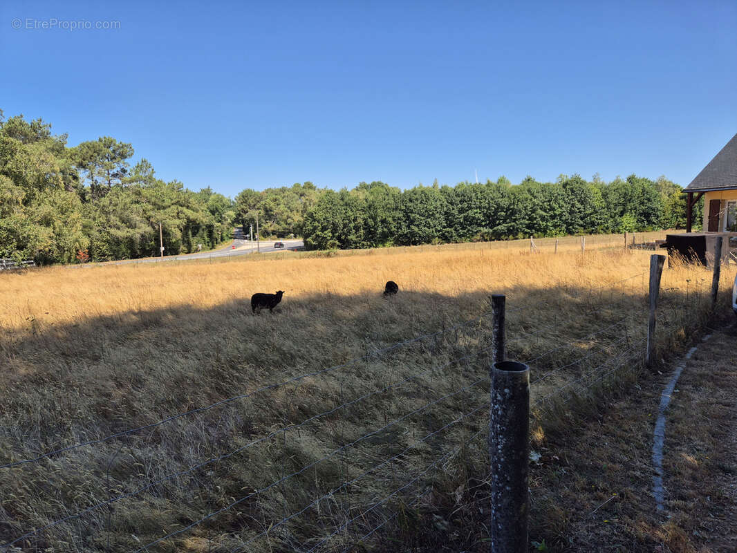 Maison 4 chambres de 129 m2 à Sévérac sur 4486 m2 de terrain. - photo 17