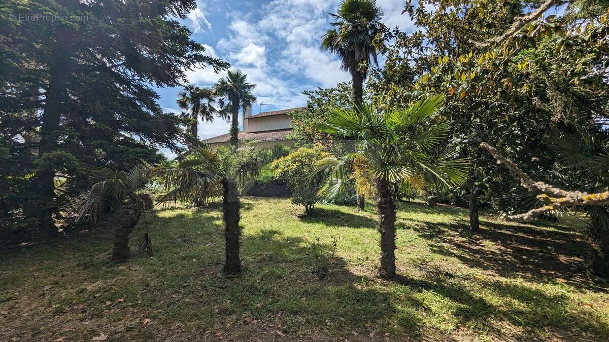 Maison à MONTASTRUC-LA-CONSEILLERE