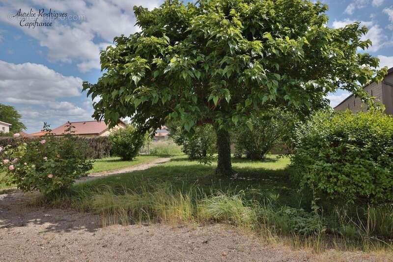 Maison à vendre 6 pièces MANZIAT (01) - photo 18