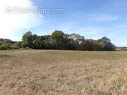 Terrain à SAINT-CRICQ-CHALOSSE