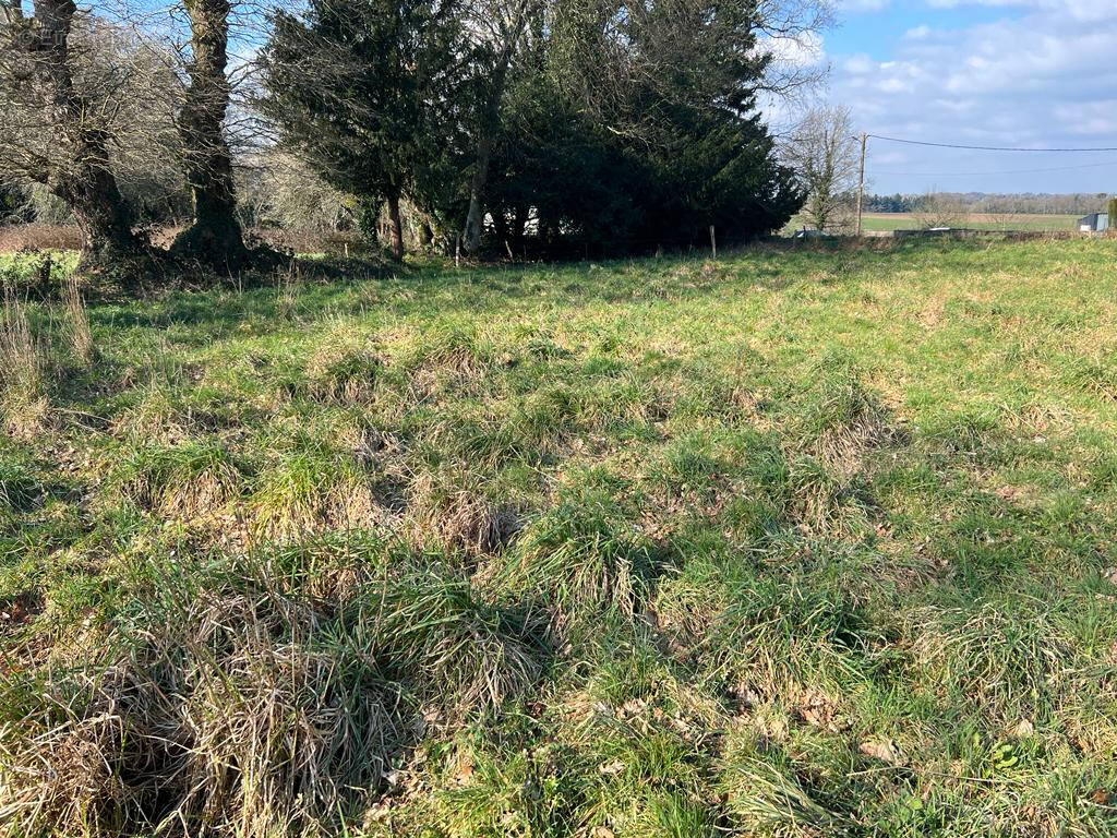 Terrain à LANTILLAC