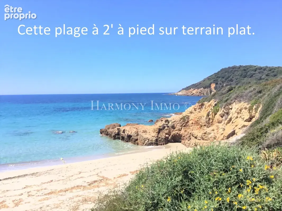Grand T2 au calme, proche de la plage avec jardin & terrasse. - photo 2