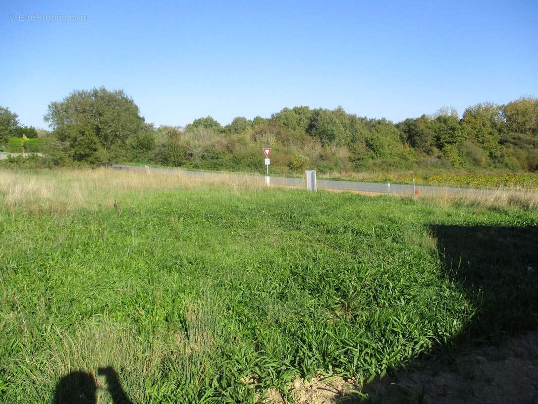 Terrain à BREM-SUR-MER