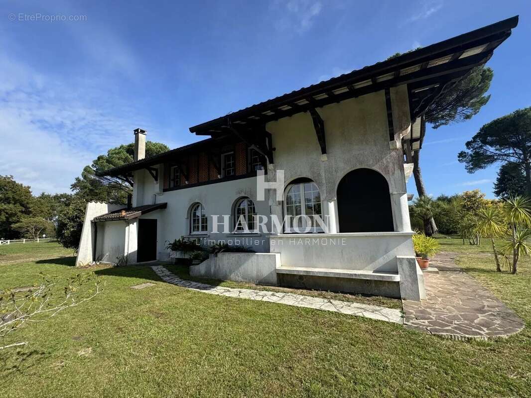 Harmon a vendre : propriété a Magescq - photo 15