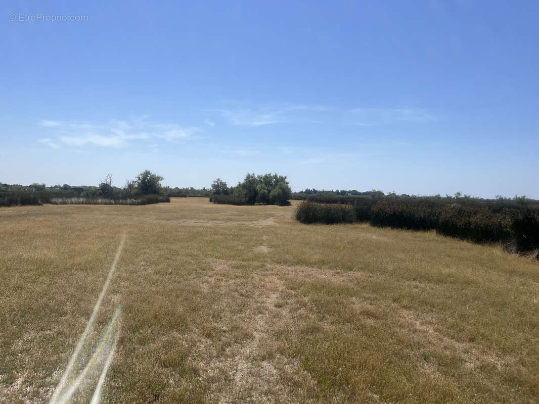 Terrain à AIGUES-MORTES