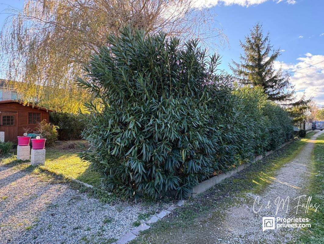 Rare ! Terrain libre constructeur proche centre-village à Entraigues-sur-la-Sorgue - photo 5