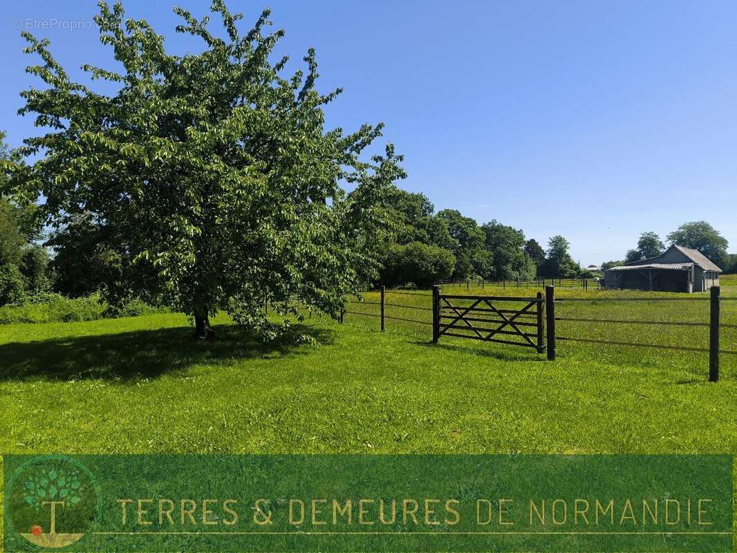 CORMEILLES (27260), Belle Propriété avec Dépendances sur 8 hectares. - photo 19