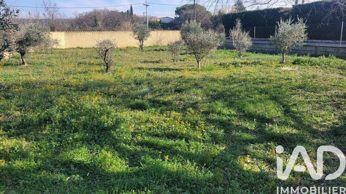 Photo 6 - Terrain à MORIERES-LES-AVIGNON