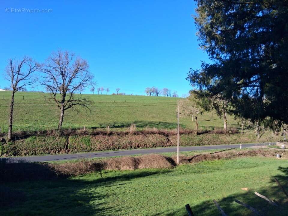 Terrain à REILHAC