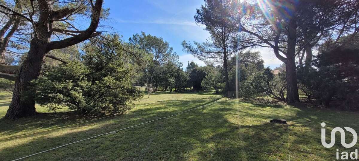 Photo 7 - Maison à L'ISLE-SUR-LA-SORGUE