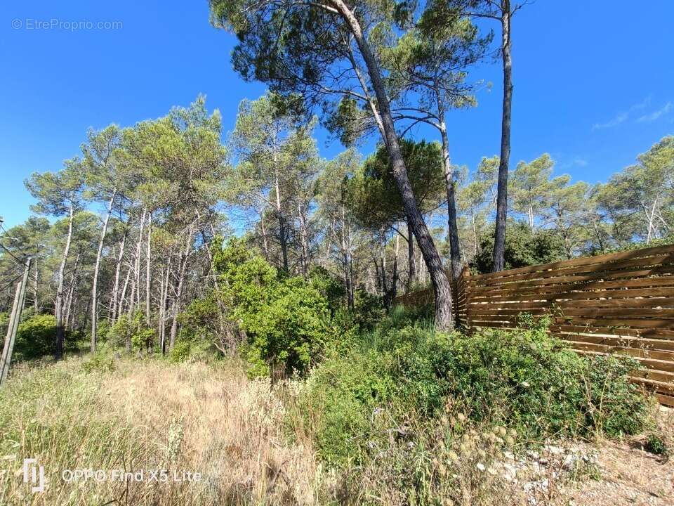 Terrain à BAGNOLS-EN-FORET