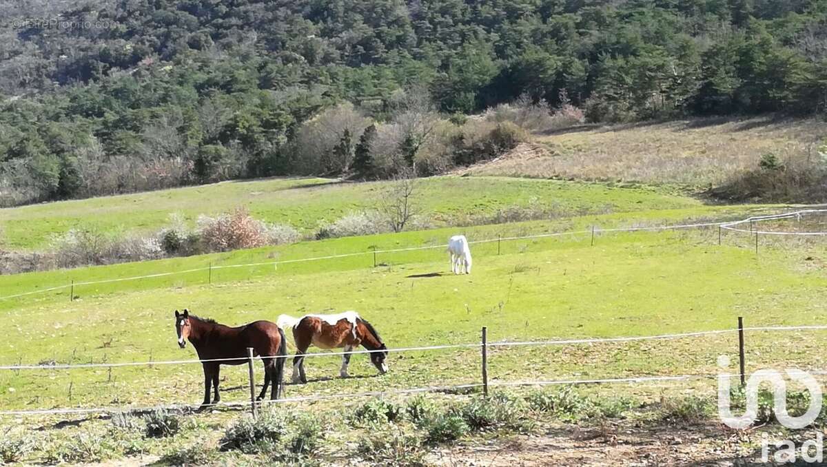 Photo 6 - Maison à SAINT-THOME
