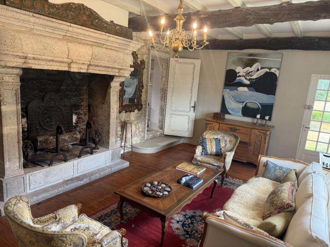 Magnifique propriété avec manoir et vaste parc - photo 13