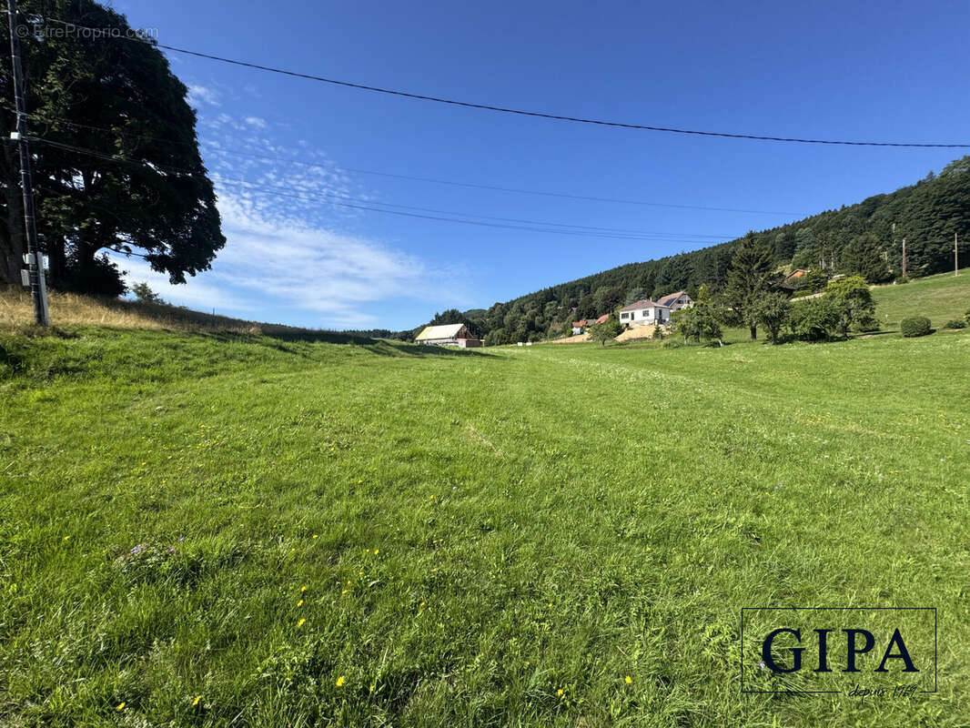 Terrain à LE HOHWALD