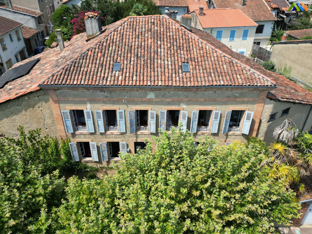 Maison 265 m² à Boulogne-Sur-Gesse  - photo 2