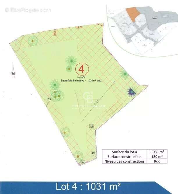 Terrain à SAN-MARTINO-DI-LOTA