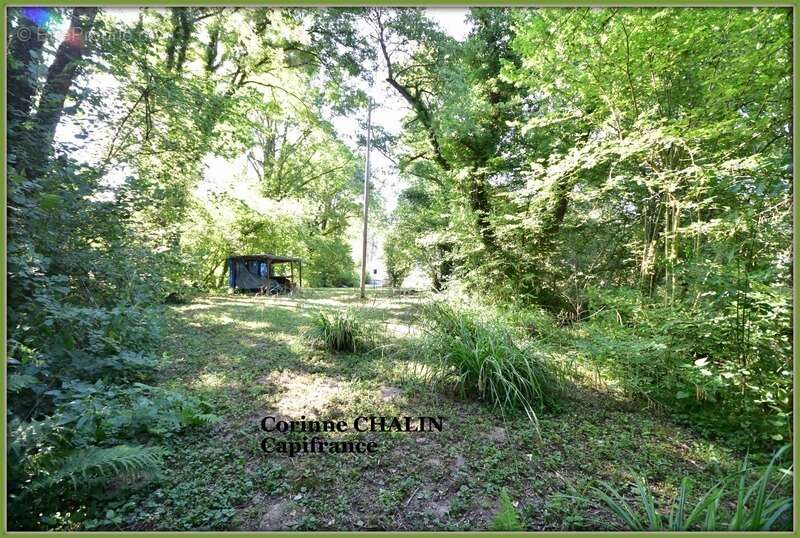 Maison à vendre 3 pièces 64.45m2 BERT (03) - photo 10