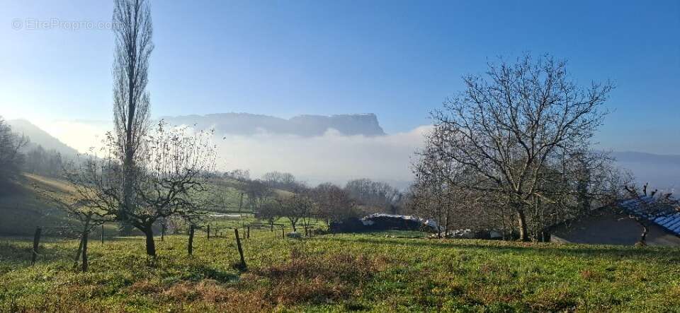 Terrain à SAINT-PIERRE-DE-SOUCY