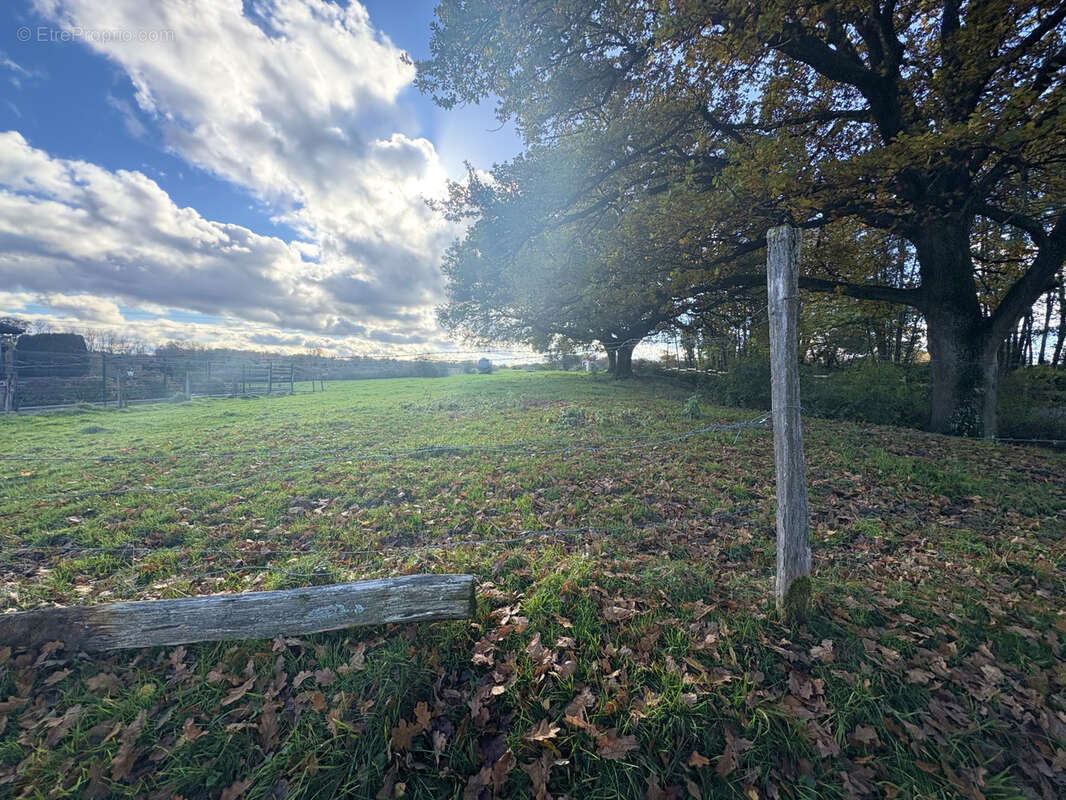 Terrain à UEBERSTRASS