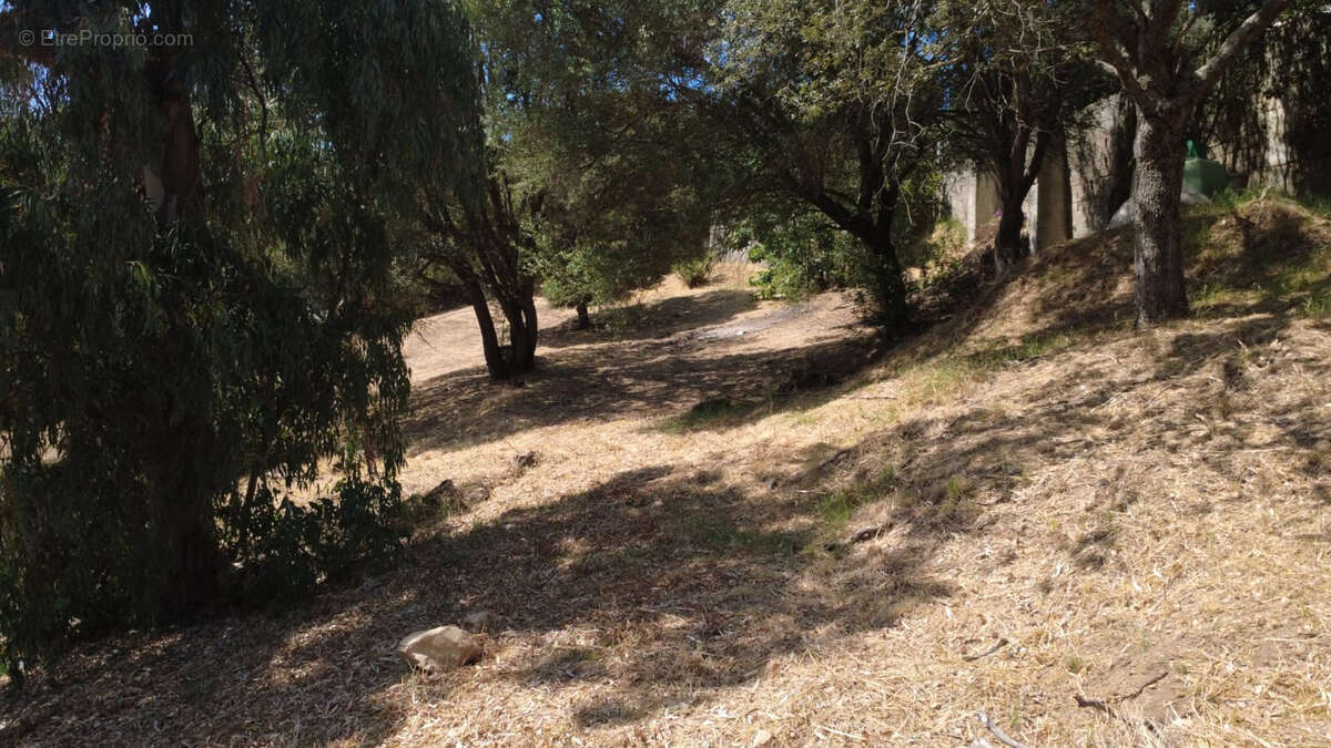 Exclusivité, Terrain viabilisé de 1 025 m² avec projet de maison à Alata, Castagnola - photo 5