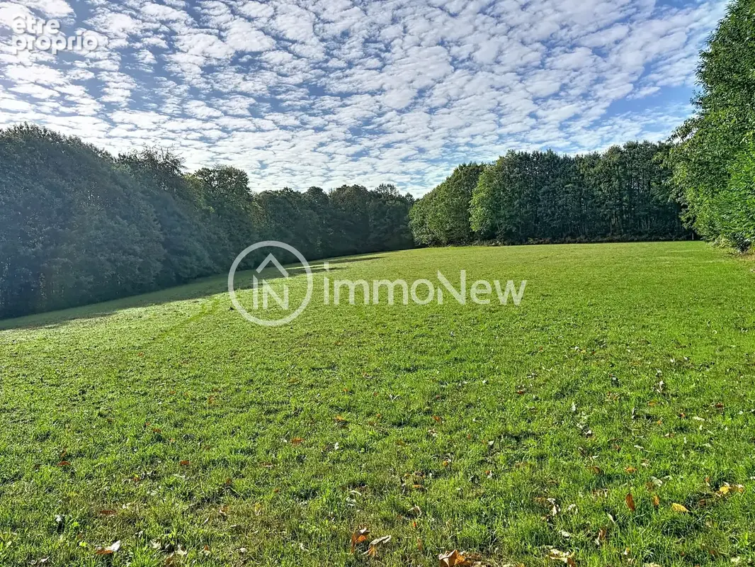 Grange a renover 100 m2 en lisiere de foret vue exceptionnelle sur 4 hectares environ - photo 19