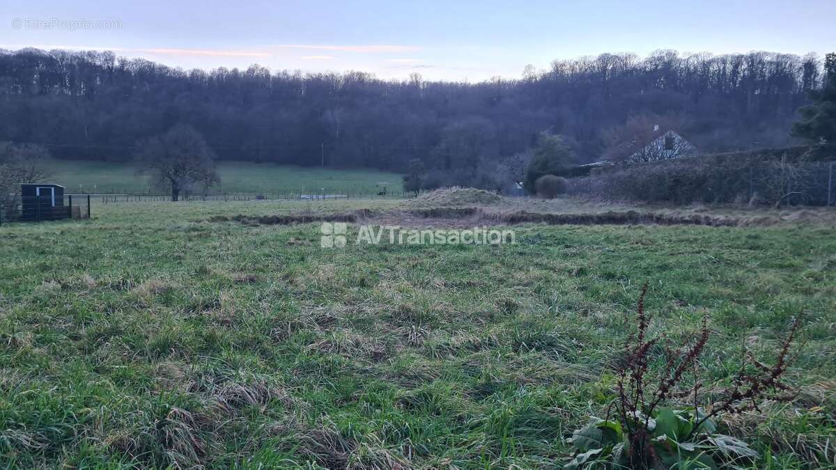 Terrain à OISELAY-ET-GRACHAUX