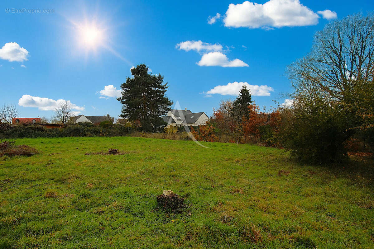 Terrain à CHAILLES