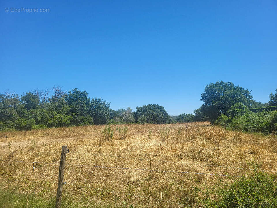 Terrain à BLAUZAC