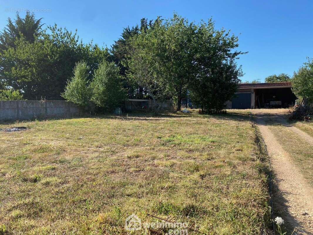 Terrain - Terrain à SAINT-HILAIRE-LA-FORET