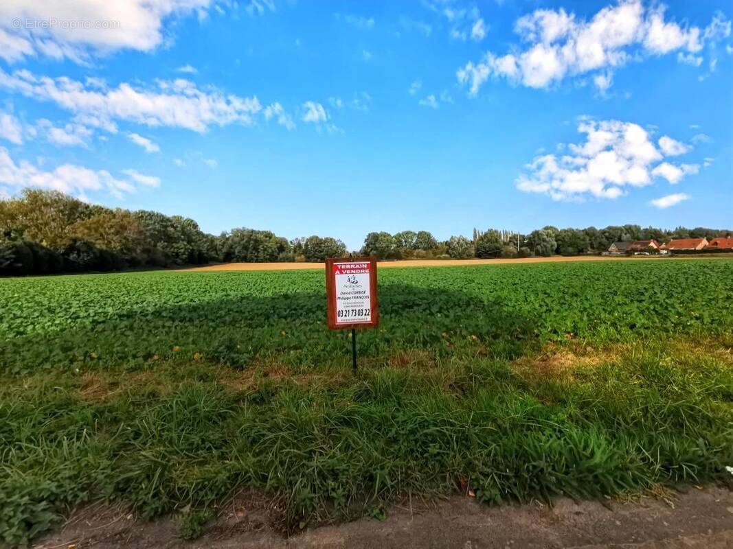 Terrain à VITRY-EN-ARTOIS
