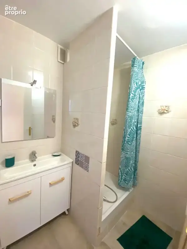 Appartement Saint Etienne 3 pièces 55 m2 - photo 5