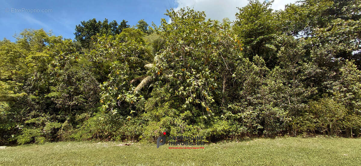 Un terrain d'exception de 3356 m2 pour donner vie a votre ecolodge au gosier - photo 8