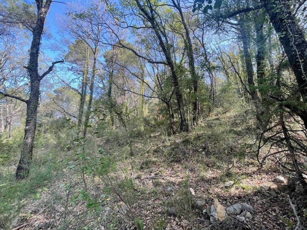 Photo 1 - Terrain à CHATEAUDOUBLE