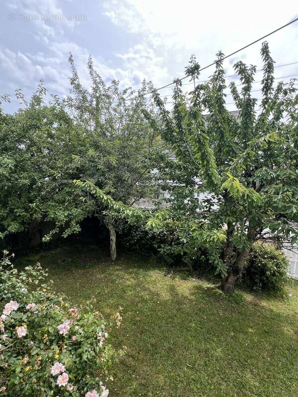 Maison 188 m² à Larmor-Plage  - photo 9