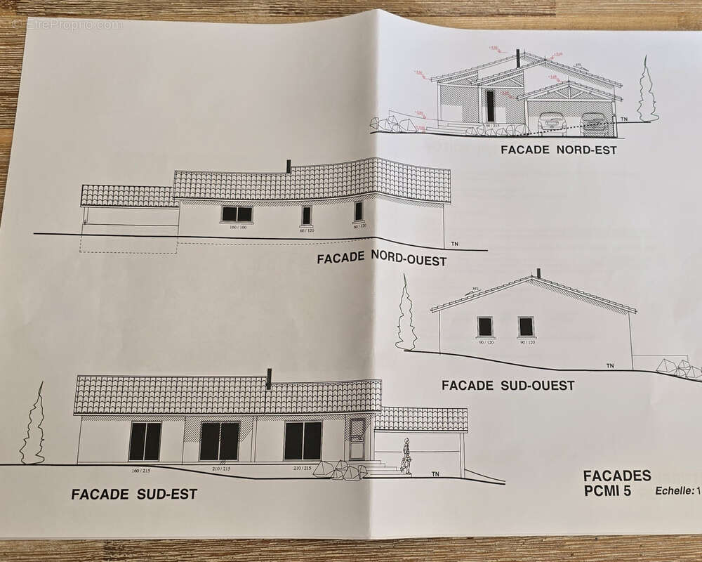 Terrain à SOLIGNAC-SOUS-ROCHE