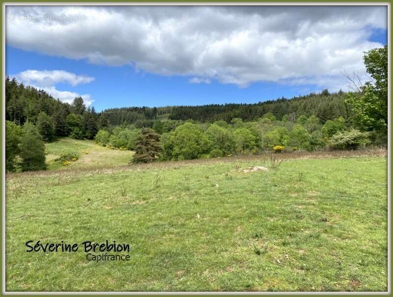 Ancienne ferme rénovée de 190 m², 4 chambres, avec grange, terrain de 11 000m² à Cervières - photo 3