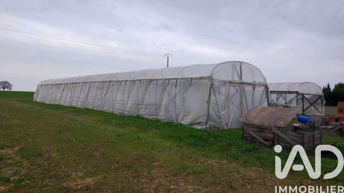 Photo 8 - Maison à MESSEME