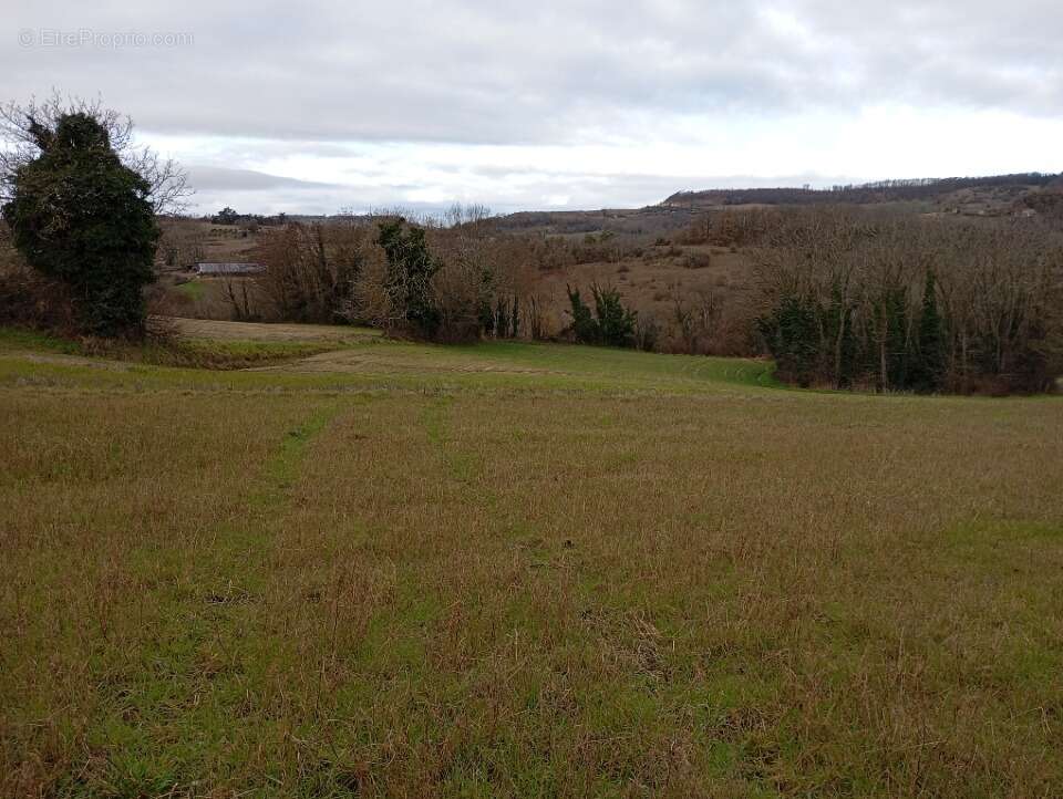 Terrain à SAINT-DONAT-SUR-L'HERBASSE
