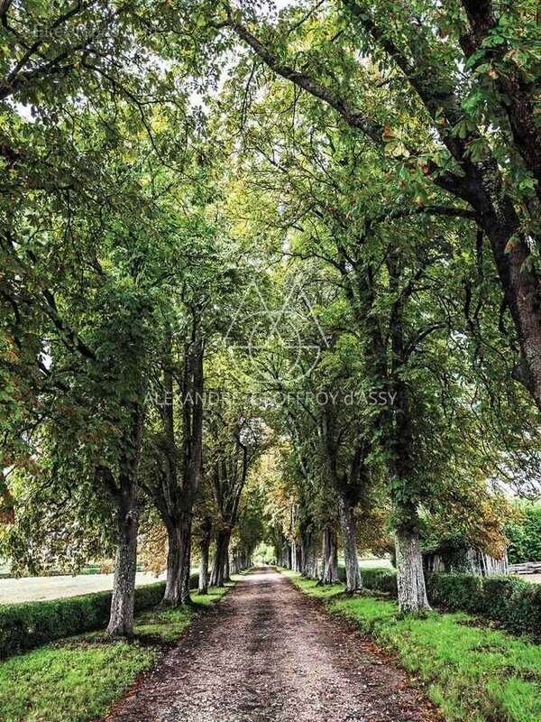 Maison à BLOIS