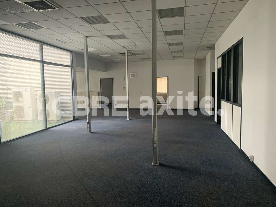 10565 m² à Marigny-Saint-Marcel  - photo 4