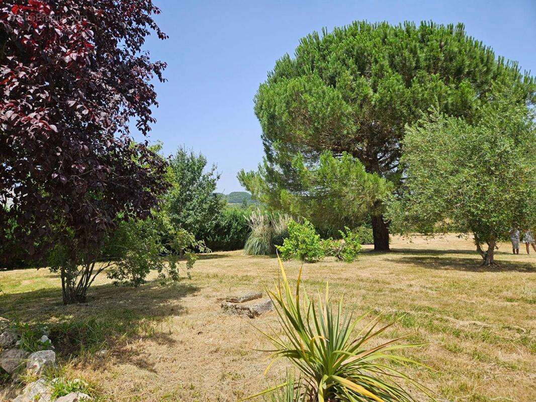 Secteur PUYMIROL : Maison 5 pièce(s) 120 m2 - Garage - Piscine - Jardin - photo 16