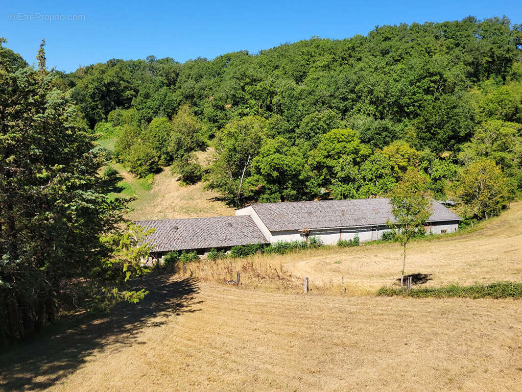 Grande maison familialle  avec dépendances et 2ha du terrain. - photo 15