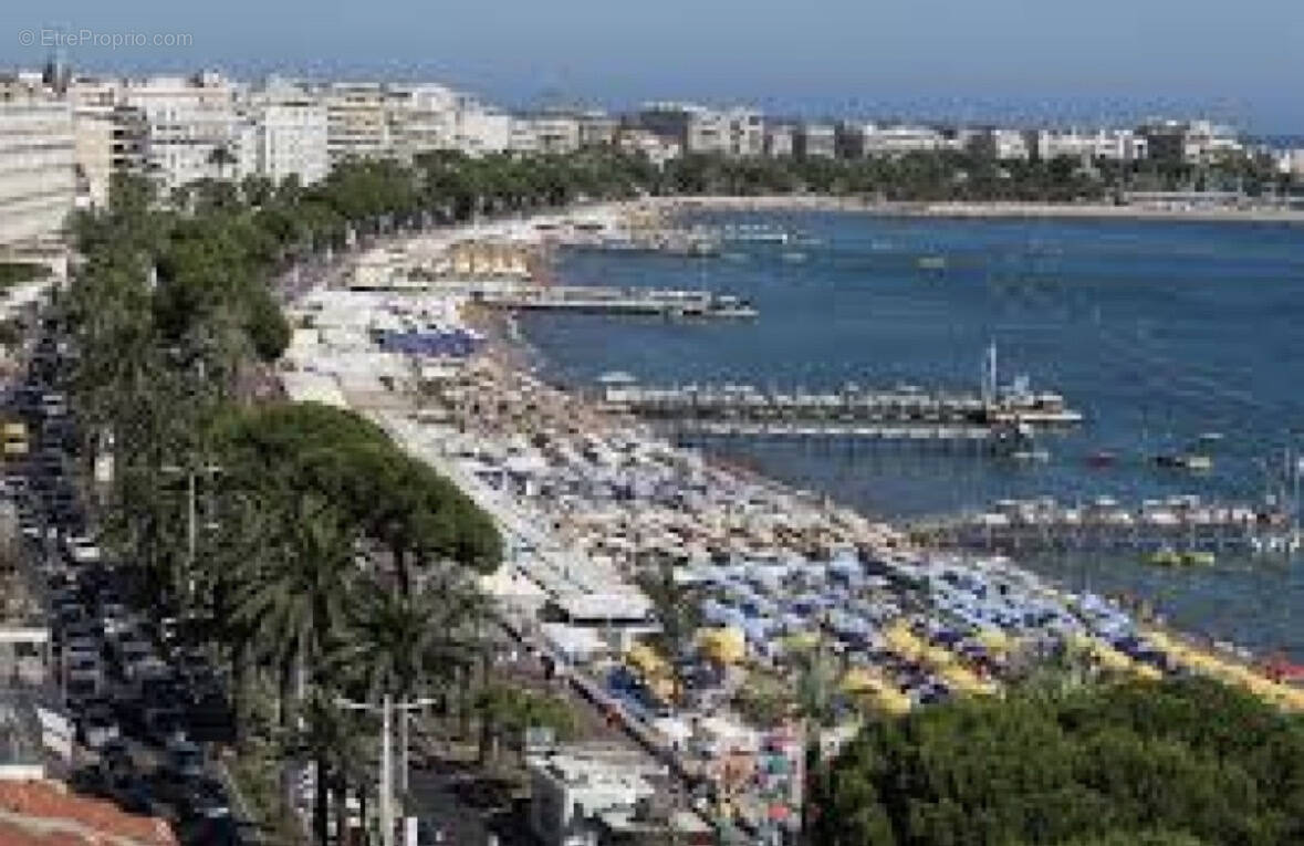 Commerce à CANNES