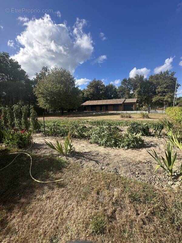 TERRAIN CONSTRUCTIBLE - Terrain à SADIRAC