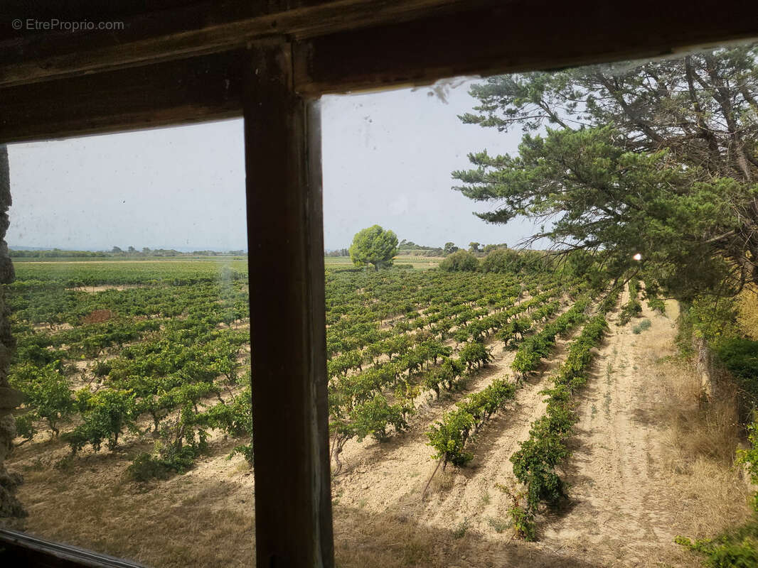 Maison à SAINT-MARCEL-SUR-AUDE