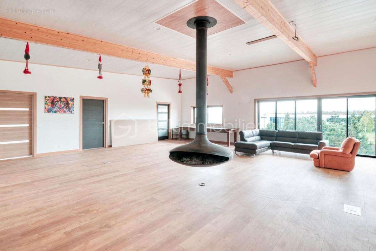 Commerce à NOGENT-LE-ROI