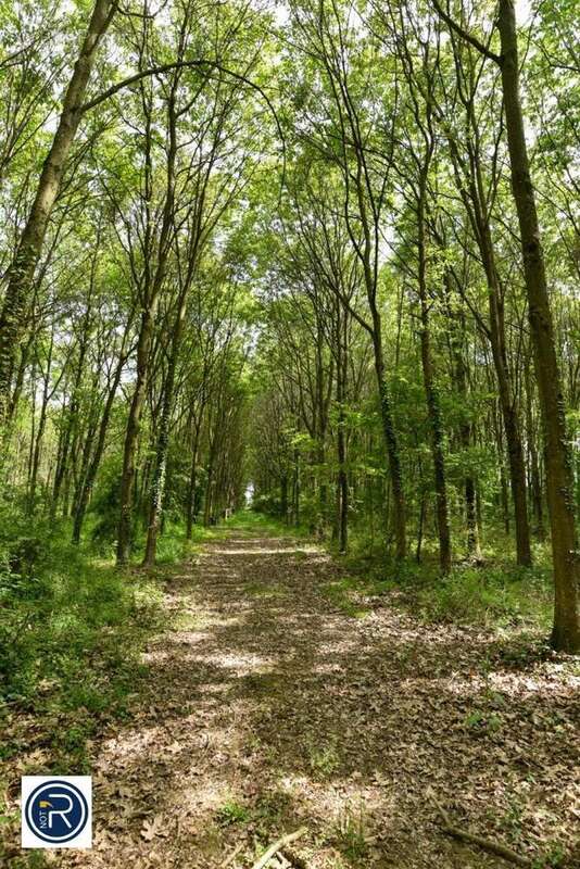Maison à LA CHAPELLE-ANTHENAISE