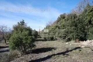 Terrain à BAUDINARD-SUR-VERDON