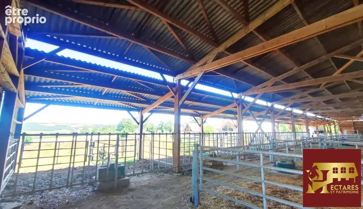 Propriété équestre 2,6 hectares - photo 12